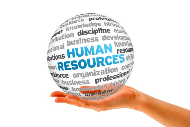 4 Core Roles of HR Service Provider - Digital Marketing & Web Services Providers