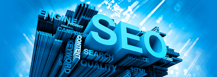 SEO Service Provider