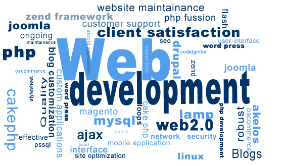Website Development Consultant